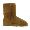 Boots fourrés femme UGG Classic Short