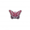 Joli papillon