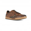 Desert 2273